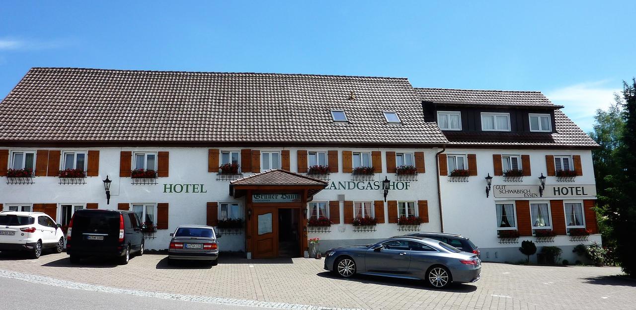 Hotel Landgasthof Grüner Baum Hochdorf  Exterior foto