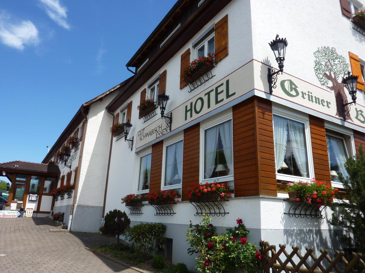 Hotel Landgasthof Grüner Baum Hochdorf  Exterior foto
